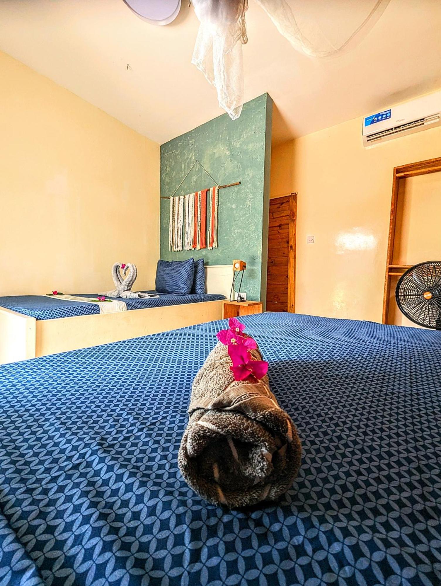 Jambiani Backpackers Hostel Rom bilde
